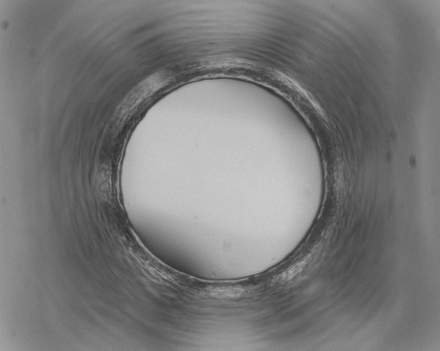 X0000078270825200611251351