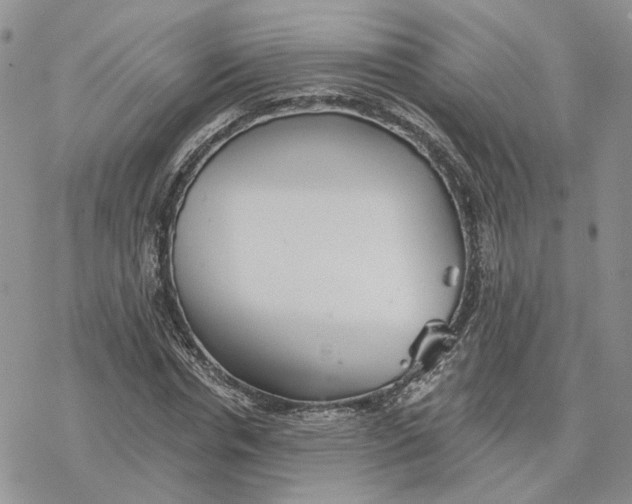 X0000078270826200611251351