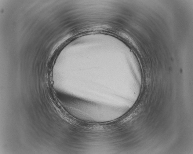 X0000078270827200611251351