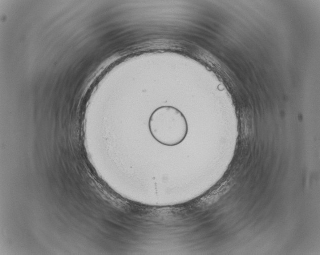 X0000078270828200611251351