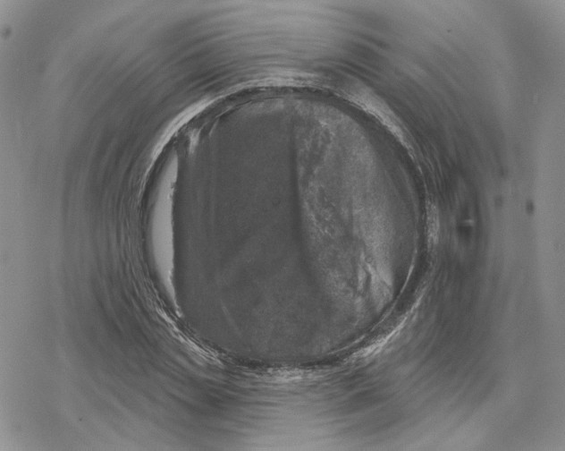 X0000078270829200611251351