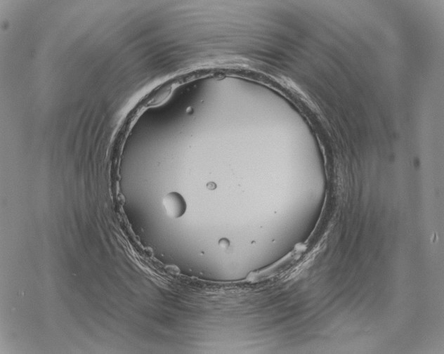 X0000078270830200611251351