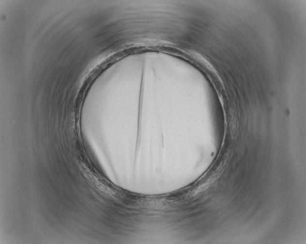 X0000078270831200611251351