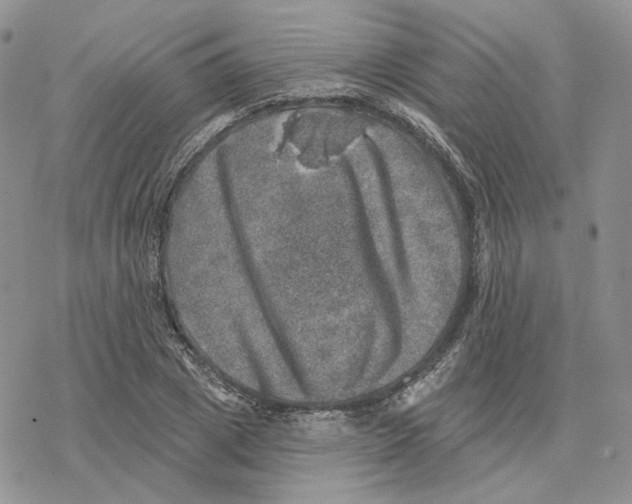 X0000078270833200611251351