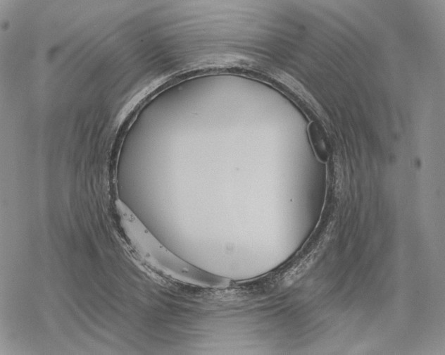 X0000078270834200611251351