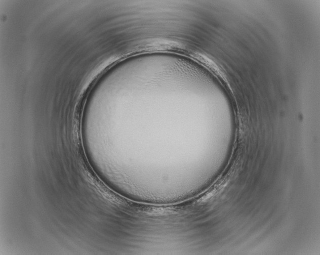 X0000078270835200611251351