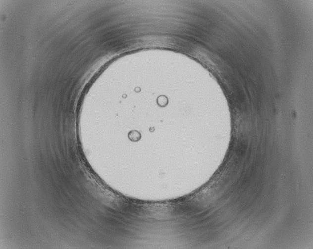 X0000078270836200611251351