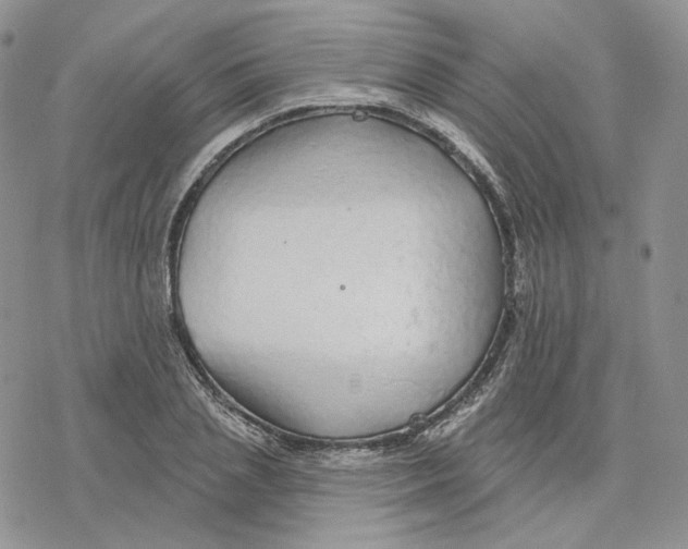 X0000078270837200611251351