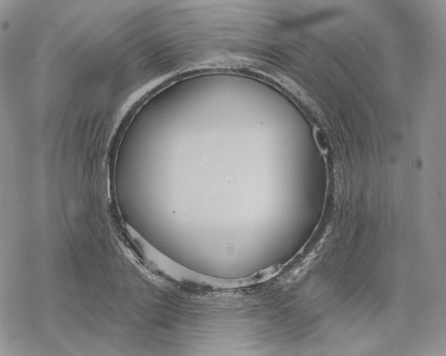 X0000078270838200611251351