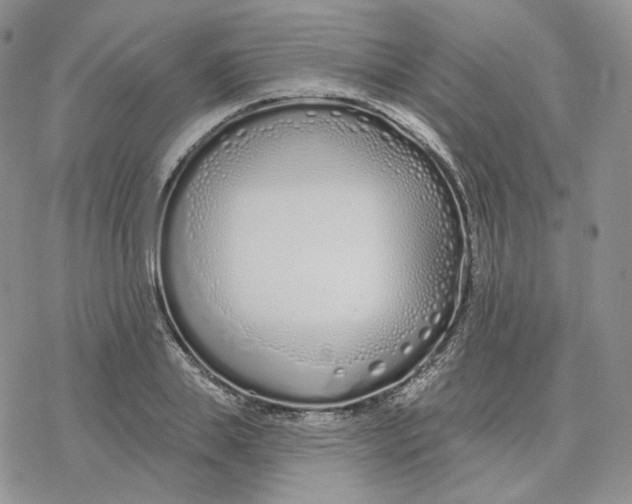 X0000078270839200611251351