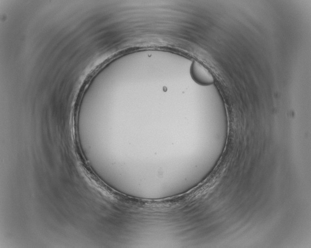 X0000078270840200611251351