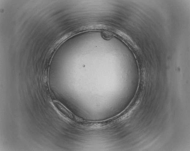 X0000078270841200611251351