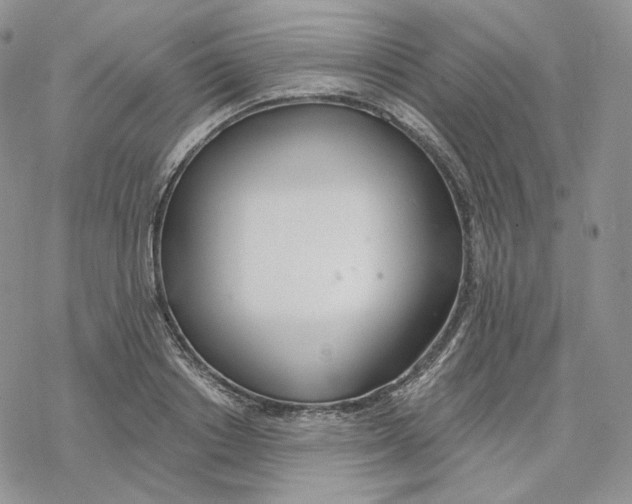 X0000078270842200611251351