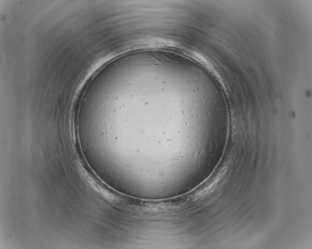 X0000078270843200611251351