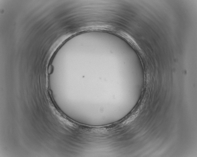 X0000078270844200611251351