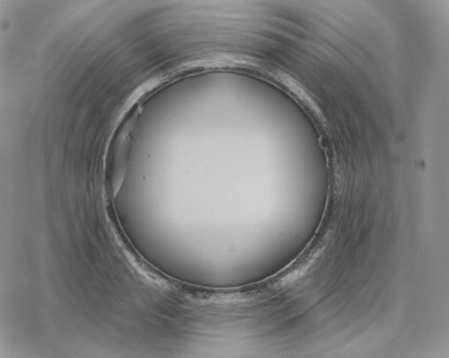 X0000078270845200611251351