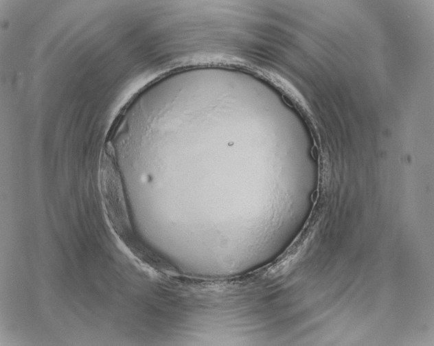 X0000078270847200611251351