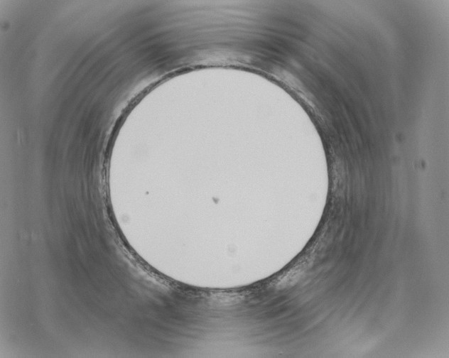 X0000078270848200611251351