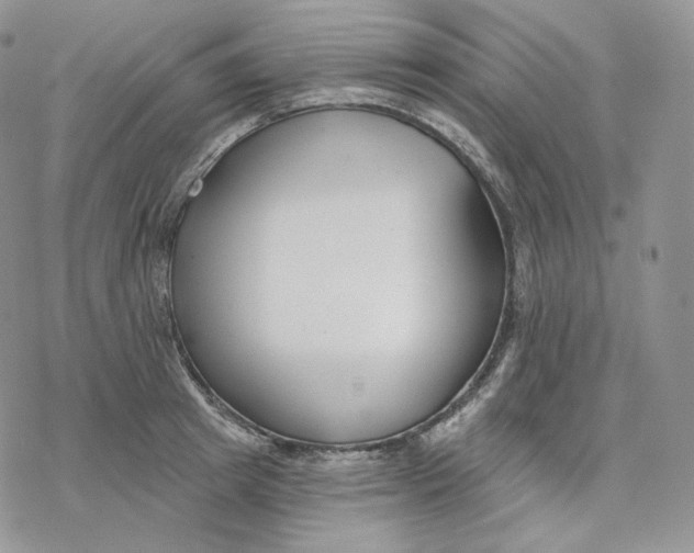 X0000078270849200611251351