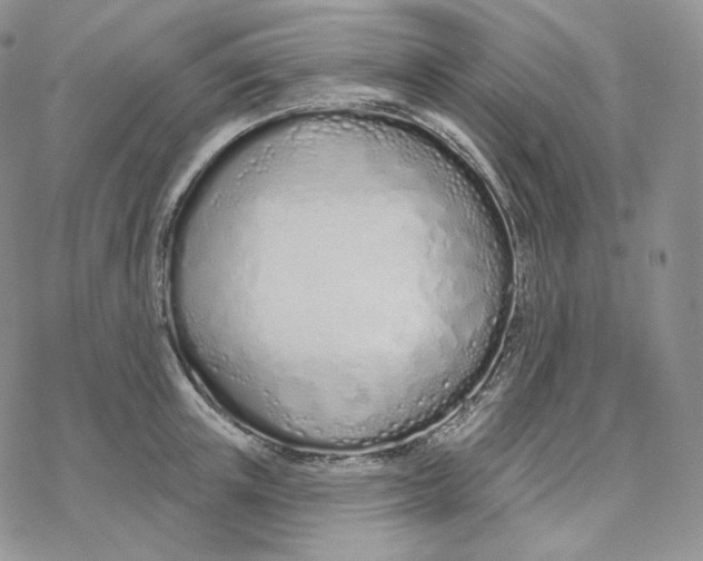 X0000078270851200611251351