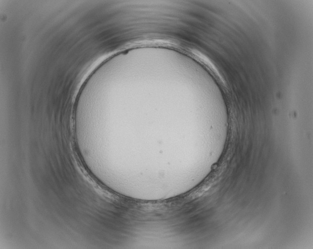 X0000078270852200611251351