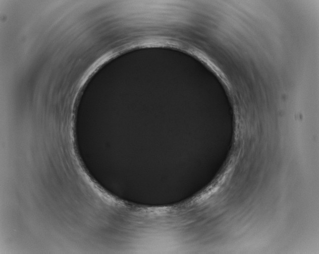 X0000078270853200611251351