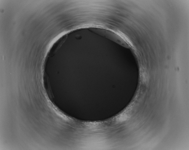 X0000078270854200611251351