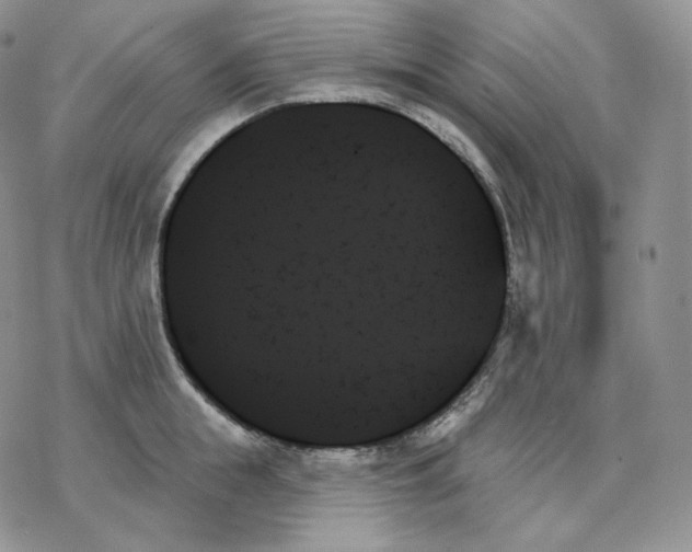 X0000078270855200611251351