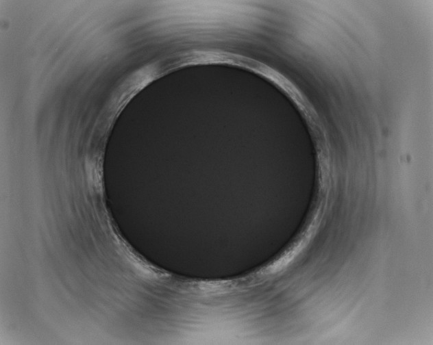 X0000078270857200611251351