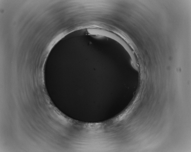 X0000078270858200611251351