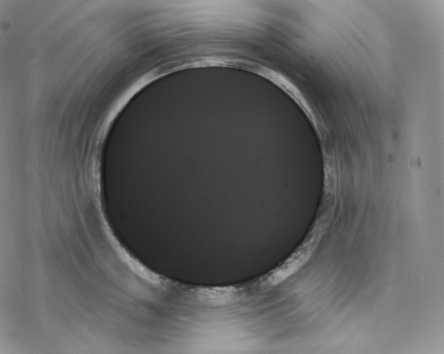 X0000078270859200611251351