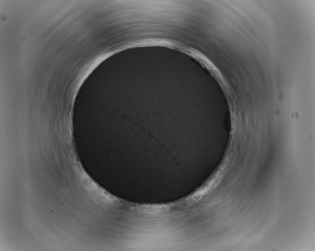 X0000078270860200611251352