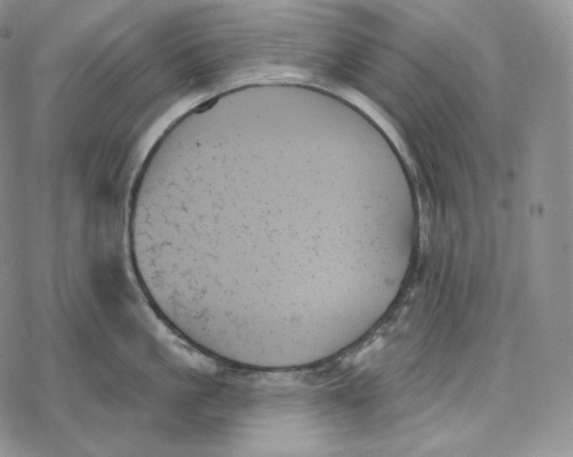 X0000078270861200611251352