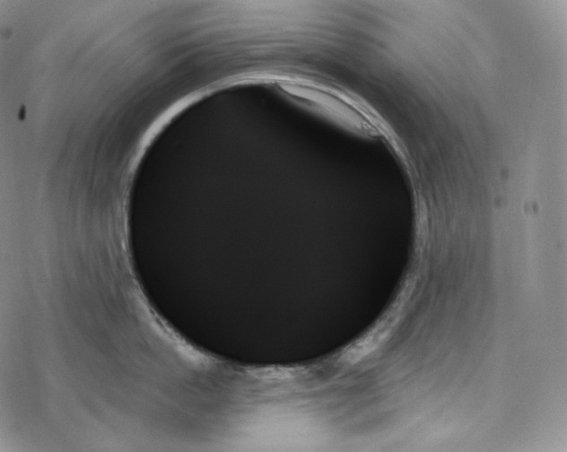 X0000078270862200611251352