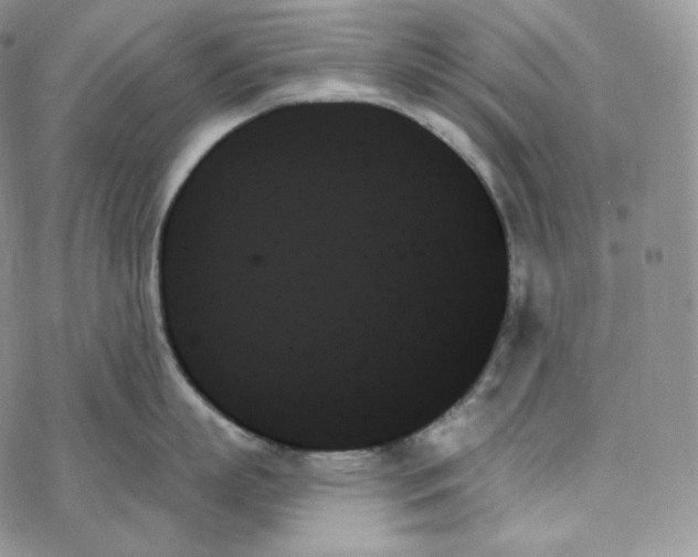 X0000078270863200611251352