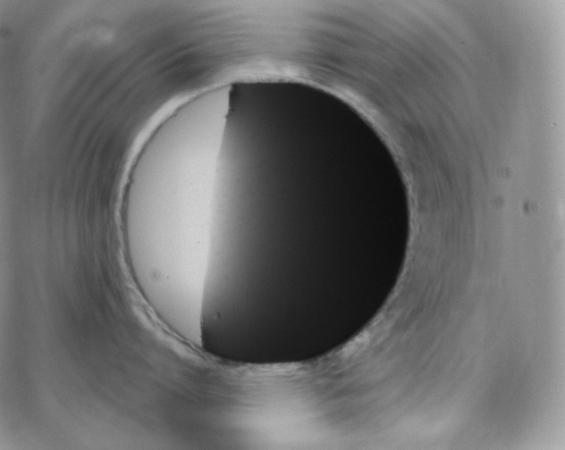 X0000078270864200611251352