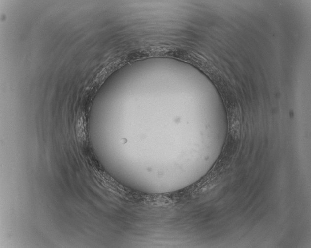 X0000078270866200611251351