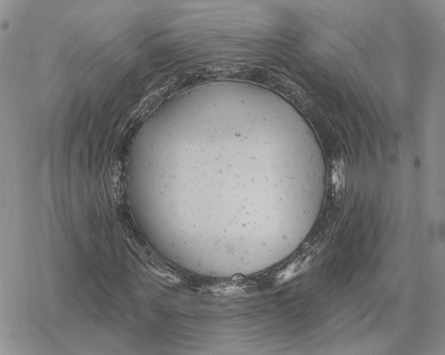 X0000078270867200611251351