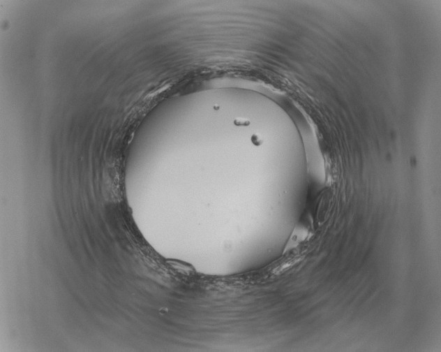 X0000078270868200611251351