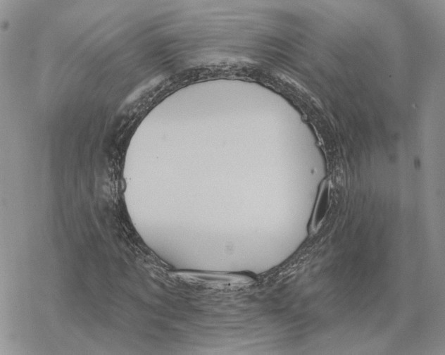 X0000078270869200611251351