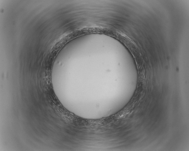 X0000078270870200611251351