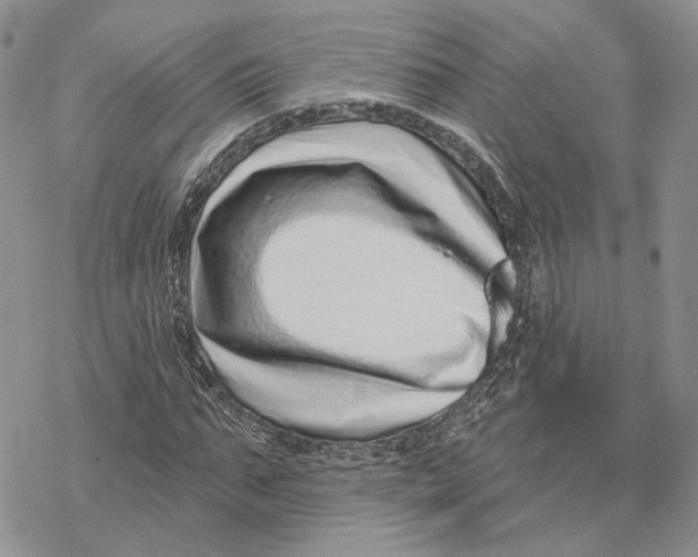 X0000078270871200611251351