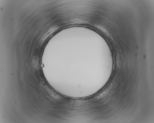 X0000078270873200611251351