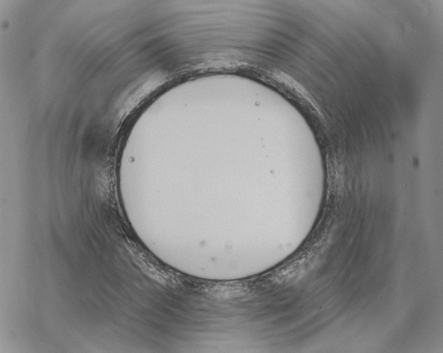 X0000078270874200611251351