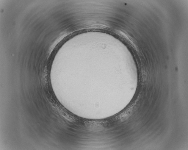 X0000078270875200611251351