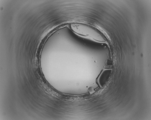 X0000078270876200611251351