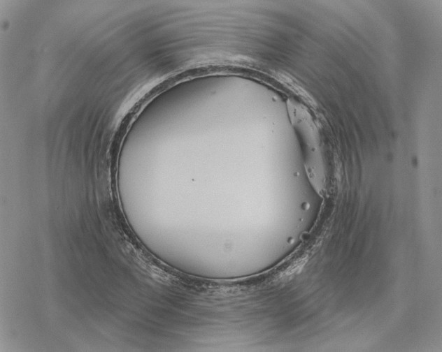 X0000078270877200611251351