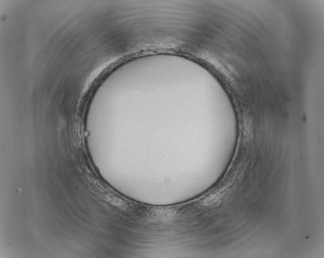 X0000078270878200611251351