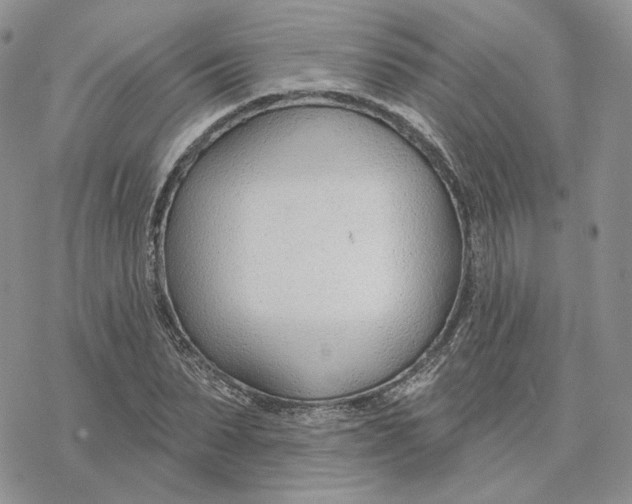 X0000078270879200611251351