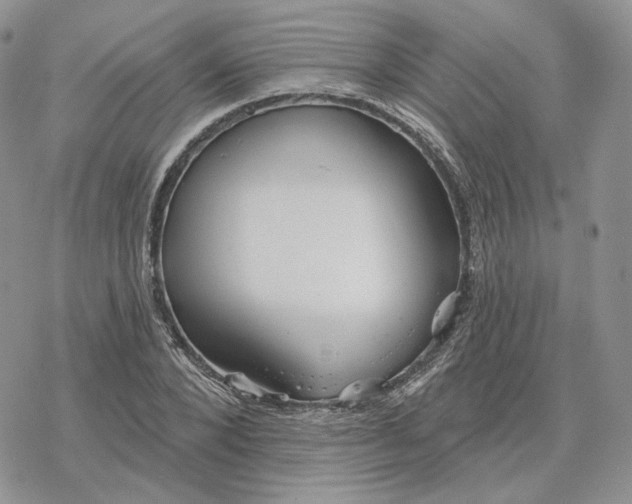 X0000078270880200611251351